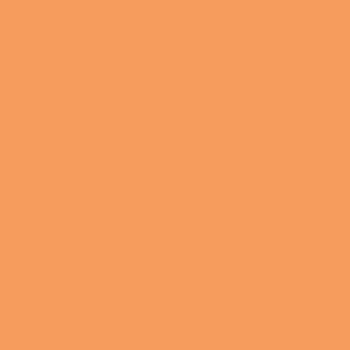 Peinture Aérosol BRAVO NESPOLI - Orange pastel (180014) 0,4 L - Contenance : 0,4 L 1