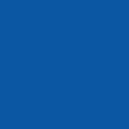Peinture Aérosol Effet Fluorescent NESPOLI - Bleu (180502) 0,4 L - Contenance : 0,4 L 1