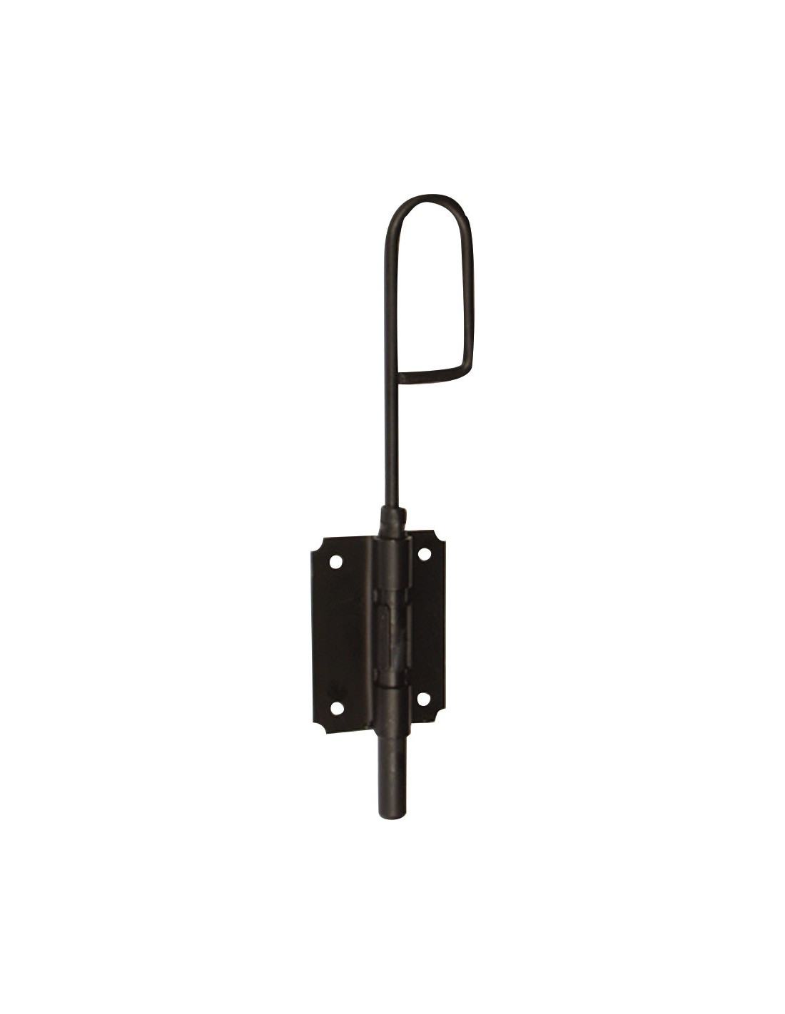 Verrou baion 14x300 noir