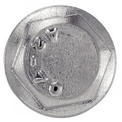 Vis à métaux tête hexagonale à embase crantée - Inox A2 6x12 mm - Boîte de 100