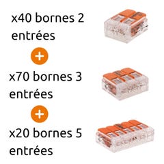 Boîte WAGO L-BOXX® Mini Série 221 - Kit de 130 bornes de connexion - 5 Gelbox IPX8 2