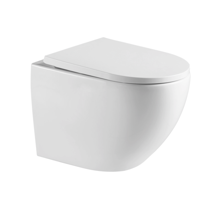 Villeroy & Boch Pack WC Bâti-support + WC sans bride Swiss Aqua Technologies + Plaque de déclenchement double, Blanche (ViConnectFusionTQ-2) 2