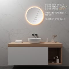 RADIUS Miroir lumineux rond salle de bain LED 3 couleurs + intensité réglable & fonction anti-buée Ø 60 cm 1